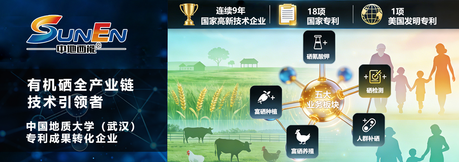 武漢中地西能科技有限公司